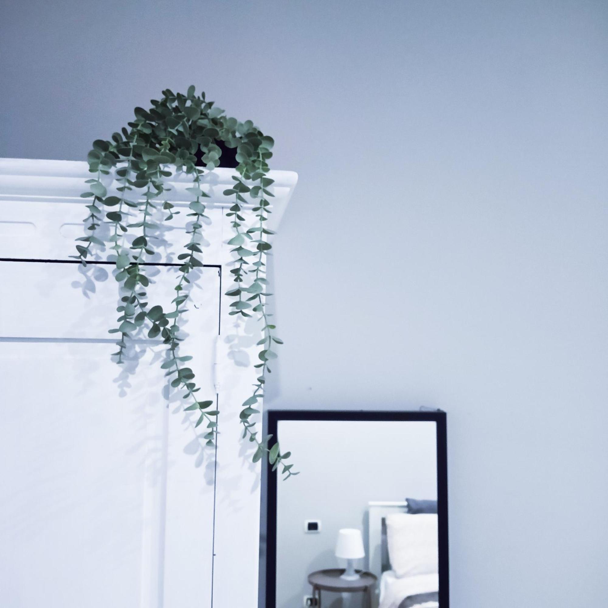 Candia Sweet Home Roma Ngoại thất bức ảnh